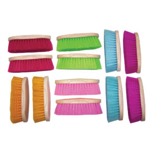 Eureka - Large Dandy Brushes 12 Pack- Neon