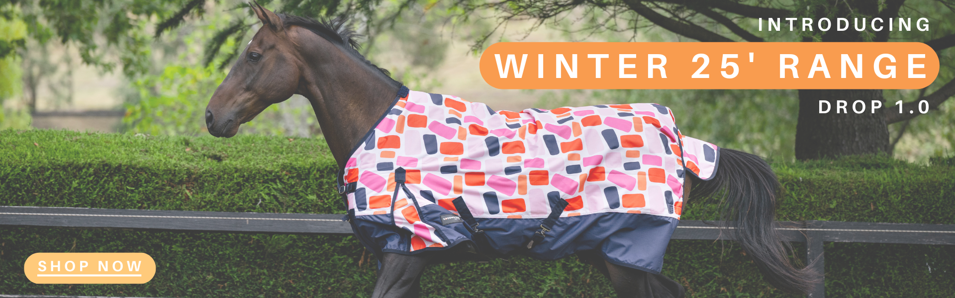 Winter New In