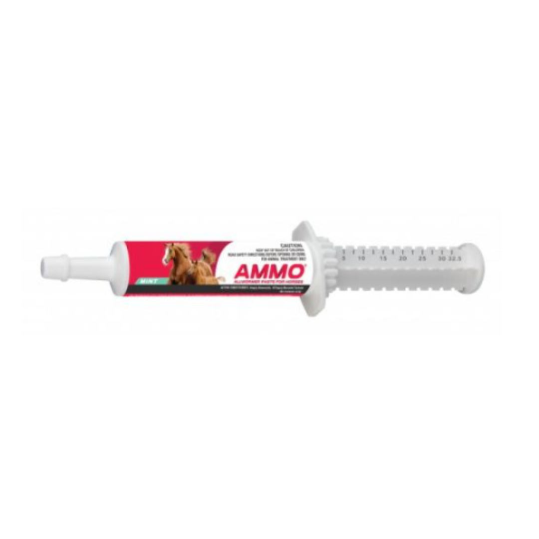 Ammo - All Wormer Horse Paste