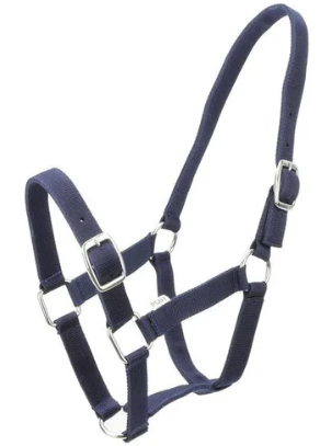 Eureka - Buckle Halter - Red Warmblood